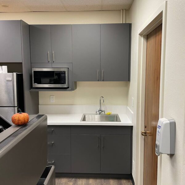 Laguna beach restroom renovation