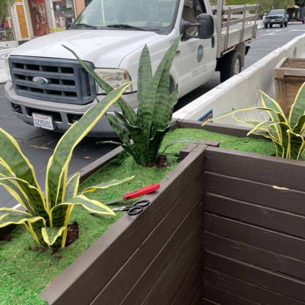 Outdoor dining in Placentia