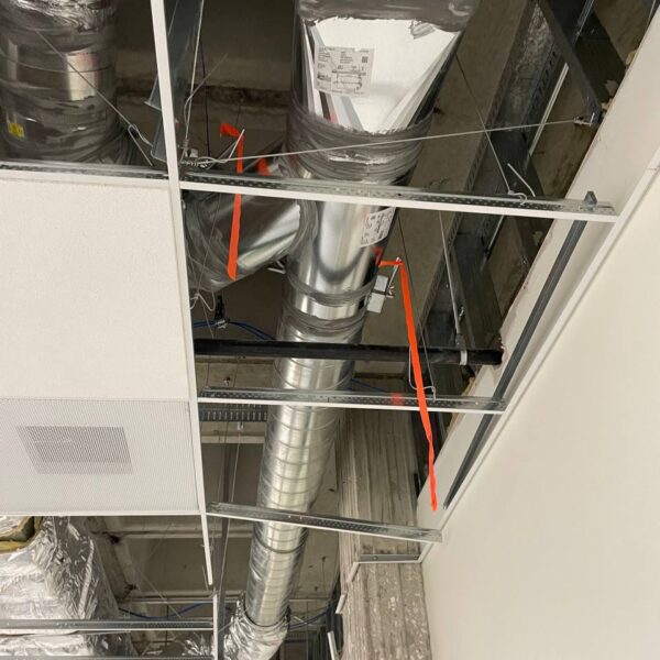 cypress college project