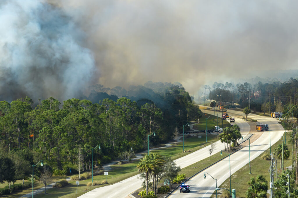 Pacific palisades brush fire